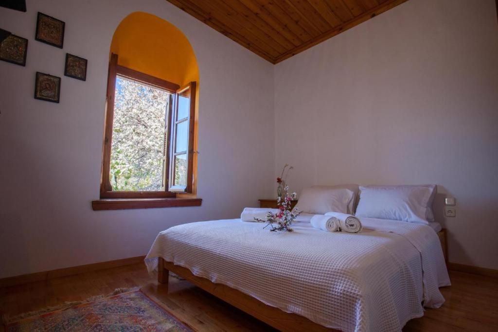 Eremia Rustic House - Entire Villa In Pelion Makrinítsa Exterior foto