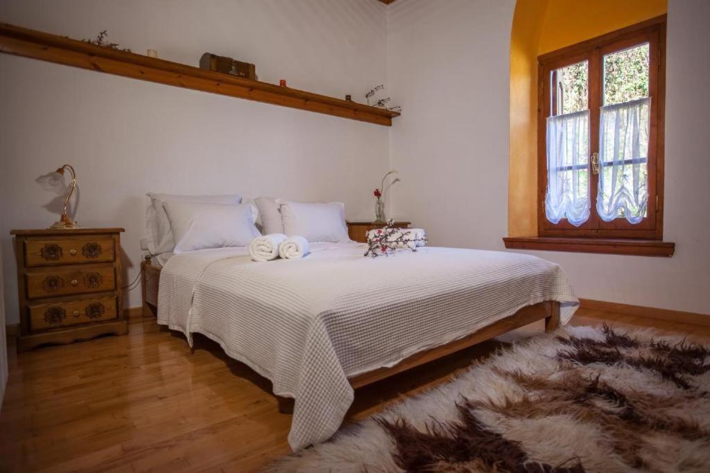 Eremia Rustic House - Entire Villa In Pelion Makrinítsa Exterior foto